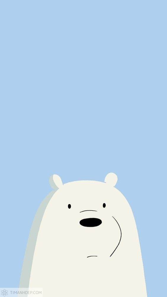 Hình ảnh gấu trắng cute, dễ thương