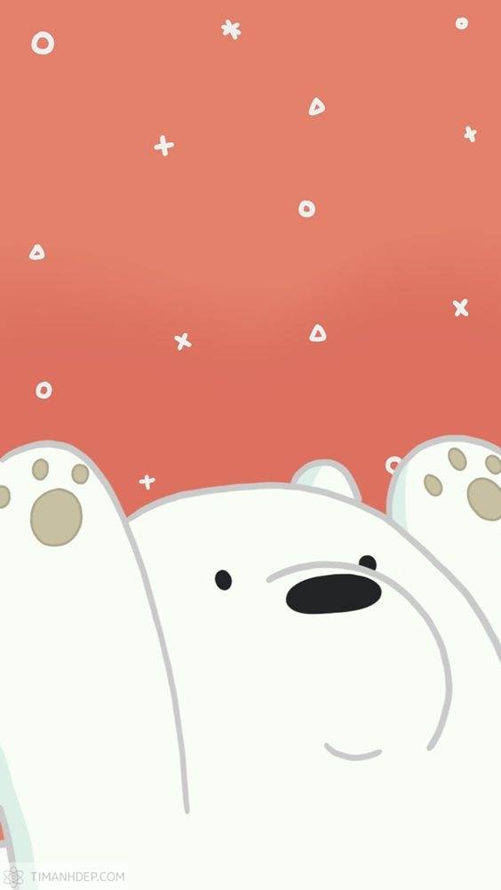 Hình ảnh gấu trắng cute, dễ thương
