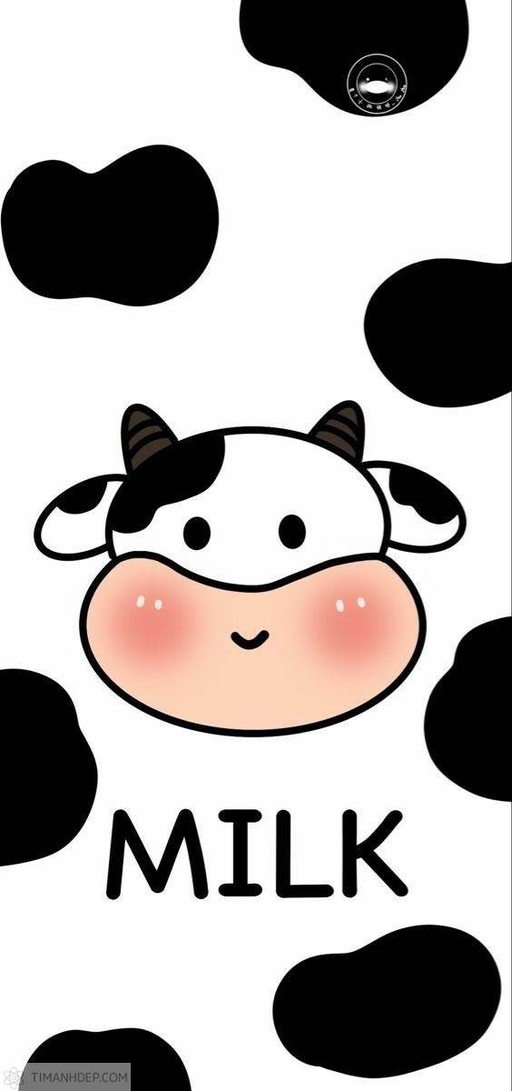 Hình nền bò sữa cute, ảnh bò sữa dễ thương