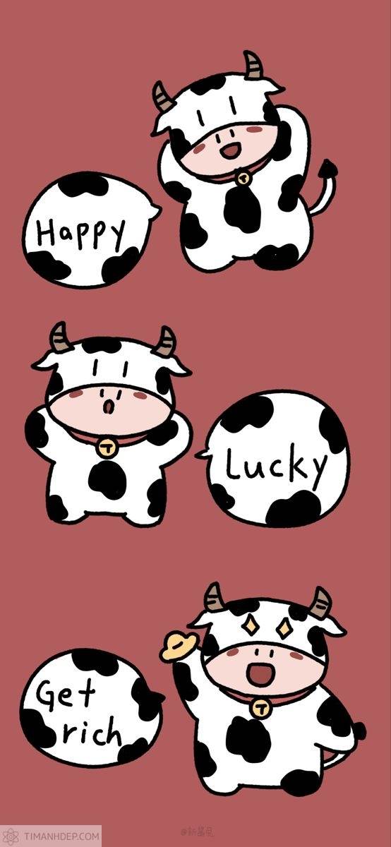 Hình nền bò sữa cute, ảnh bò sữa dễ thương