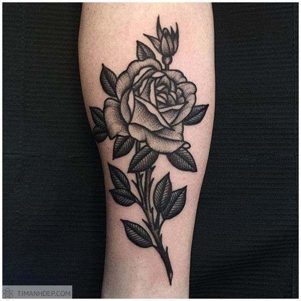 Hình xăm hoa hồng đẹp, tattoo hoa hồng cuốn hút nhất