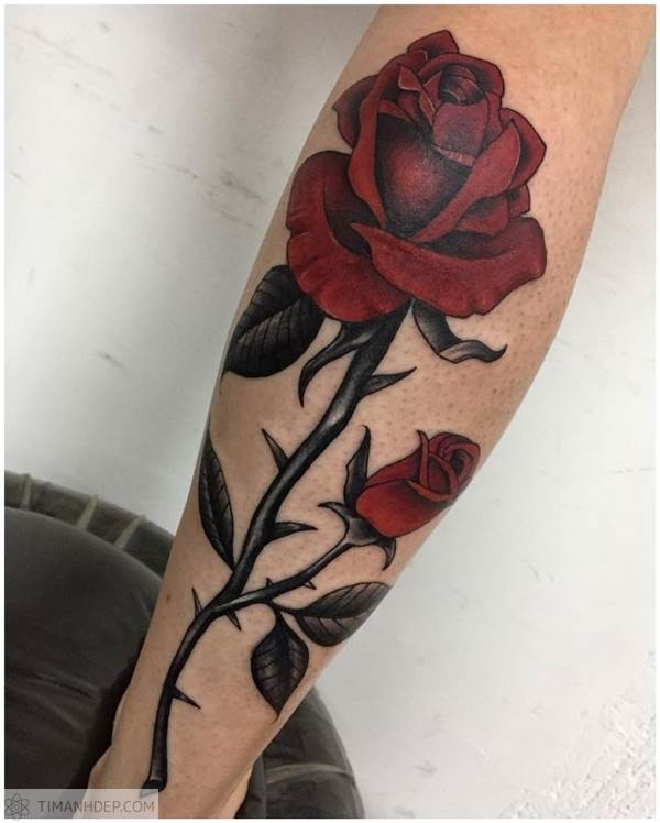 Hình xăm hoa hồng đẹp, tattoo hoa hồng cuốn hút nhất